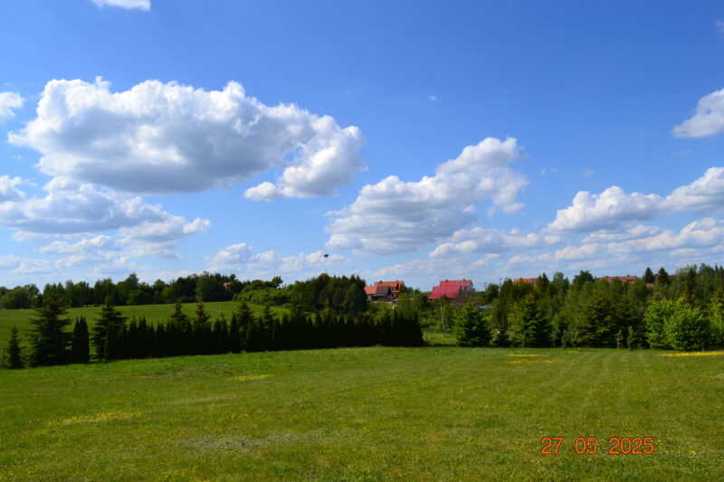 Dom  - Trygort - obrazek 15