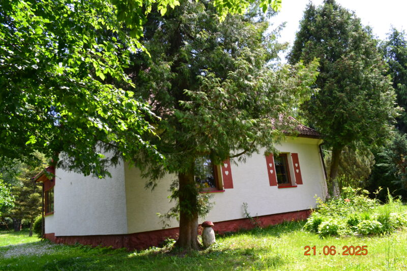 Dom  - Rudziszki - przy granicy - obrazek 9